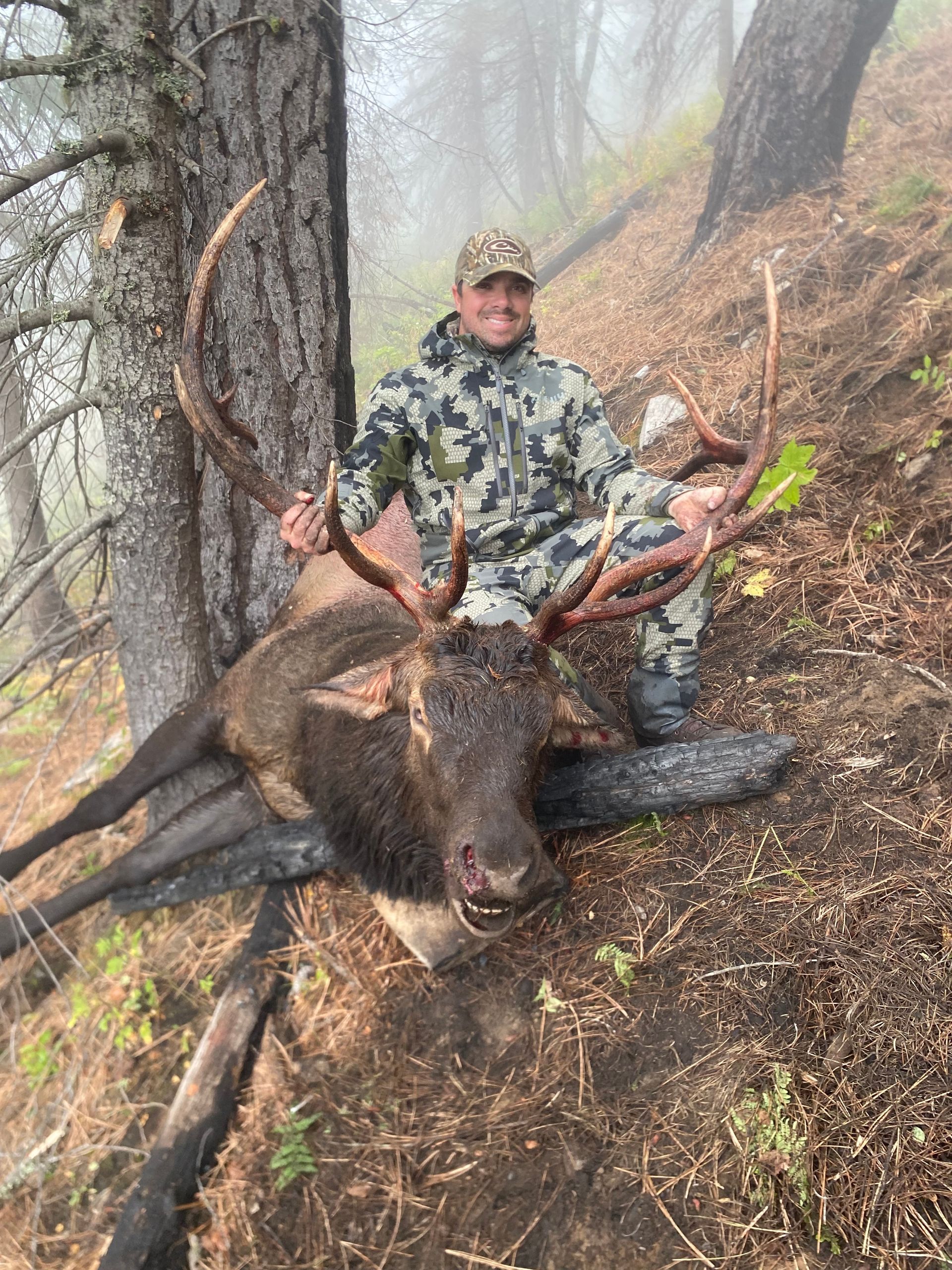 Hunter kneels beside a large elk in a foggy forest, holding its antlers.