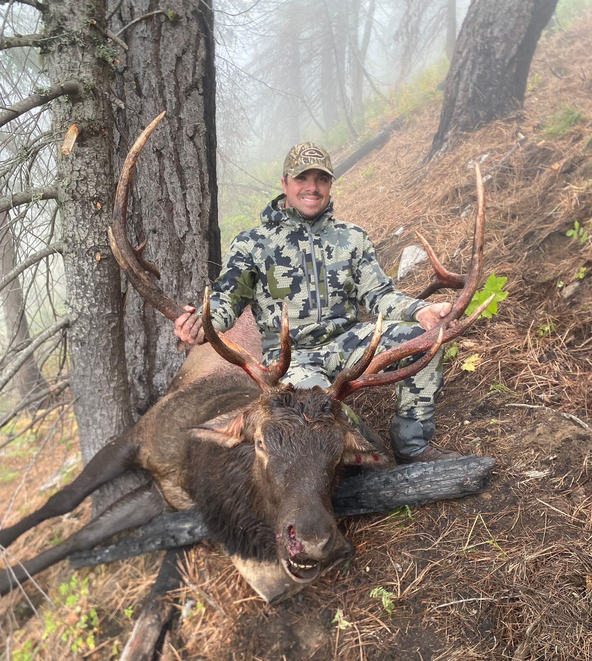 Hunter kneels beside a large elk in a foggy forested hillside.
