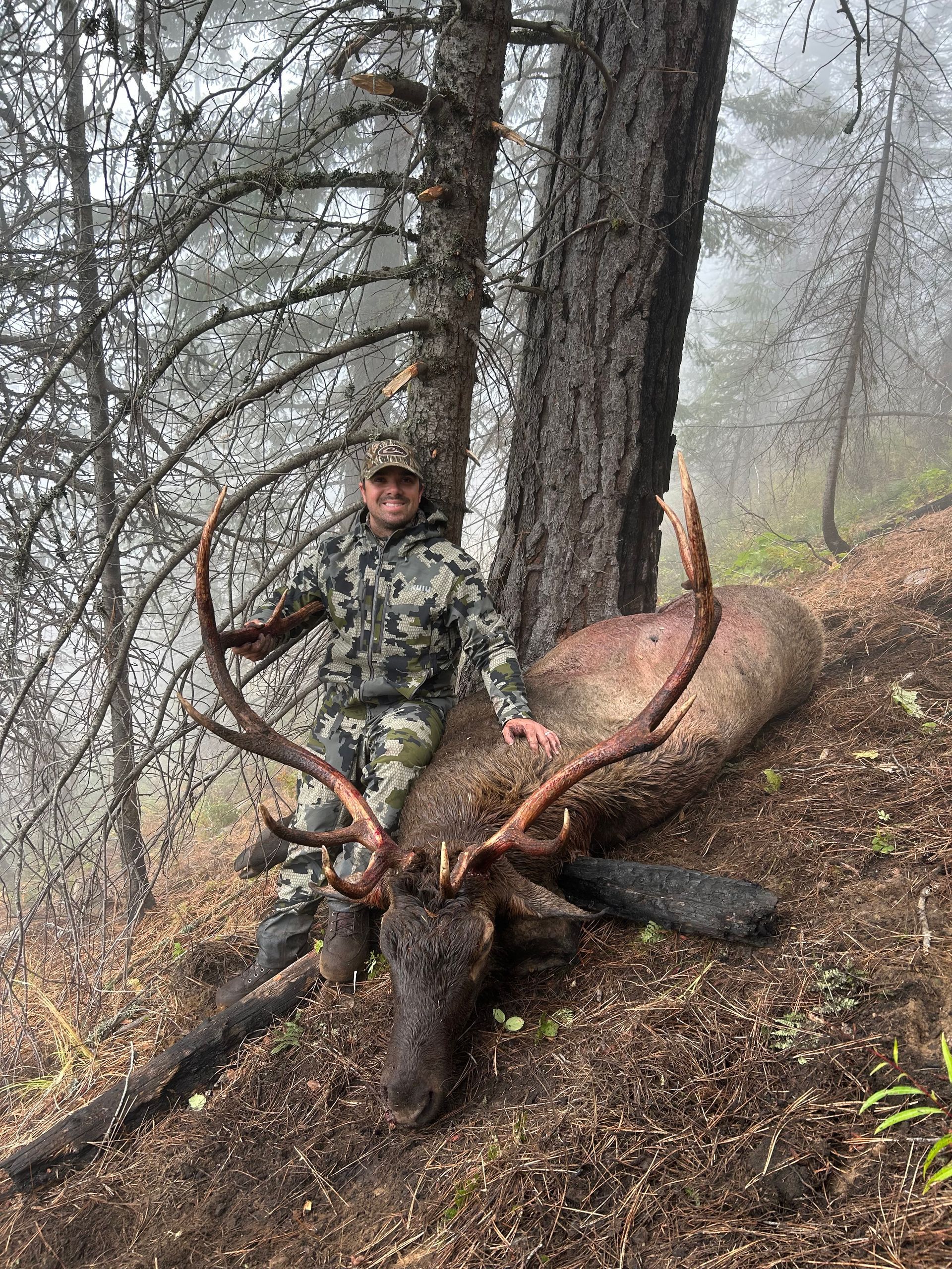 Hunter in camouflage posing beside a large elk in a foggy wooded hillside.