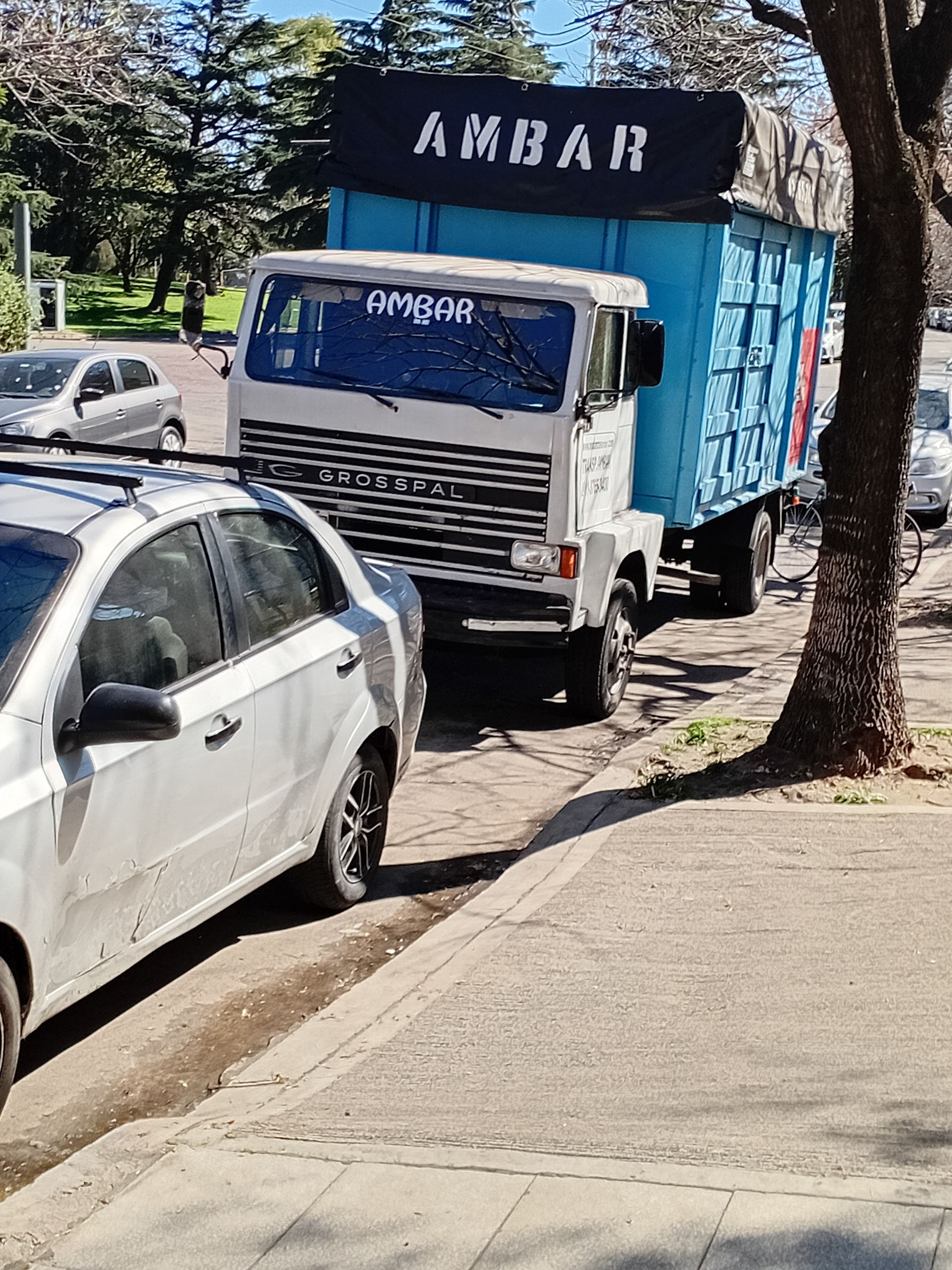 Camión azul y blanco estacionado junto a un automóvil plateado en una calle de la ciudad; árboles en el fondo.