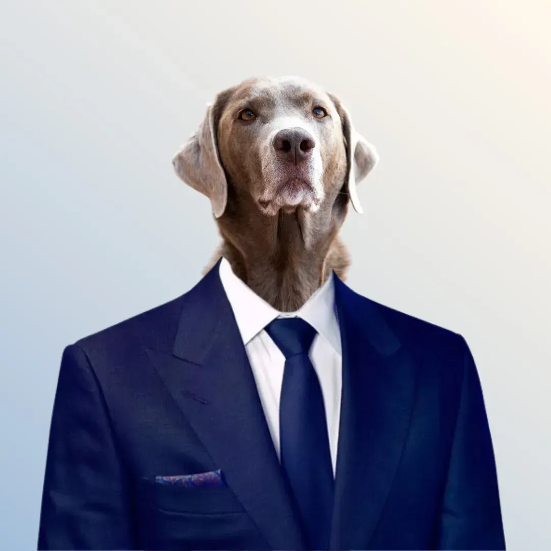 A dog is wearing a suit and tie