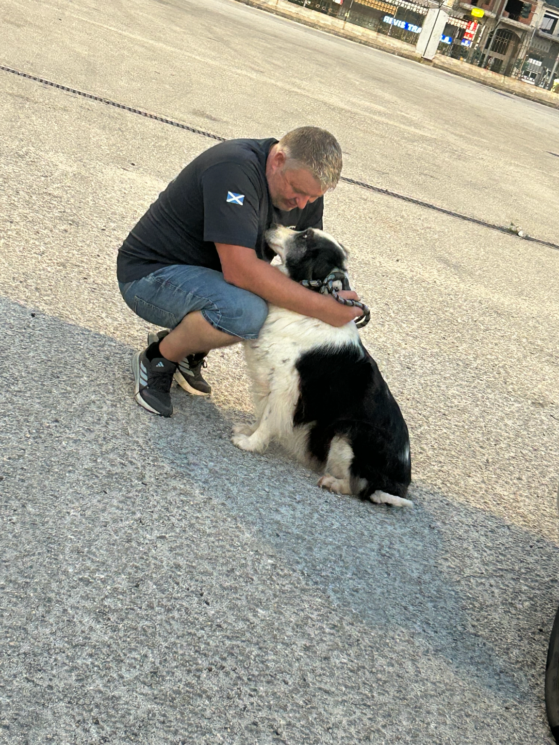 DL Pet Transport driver greeting a dog during a pet transport journey in Greece