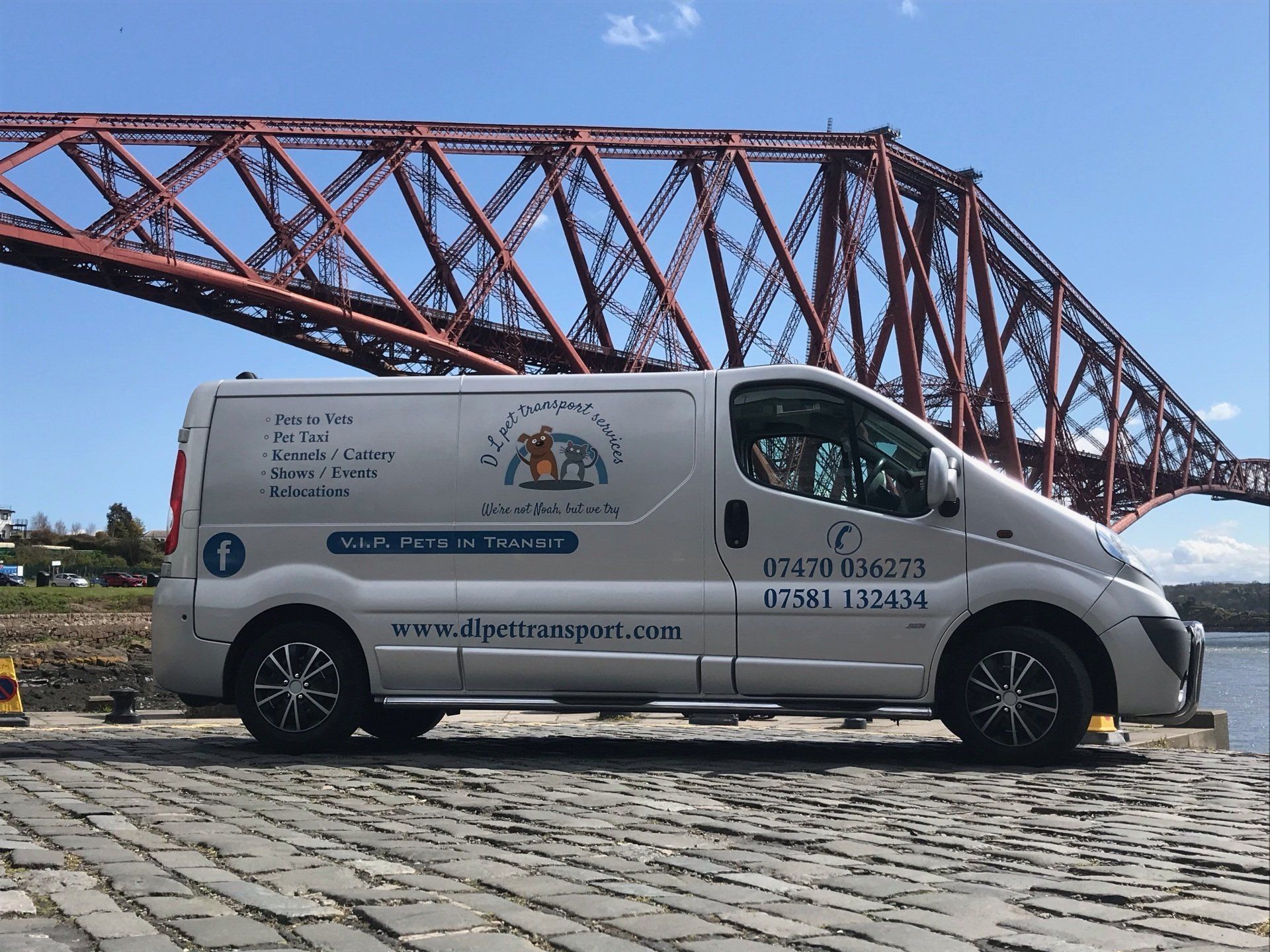 pet taxi