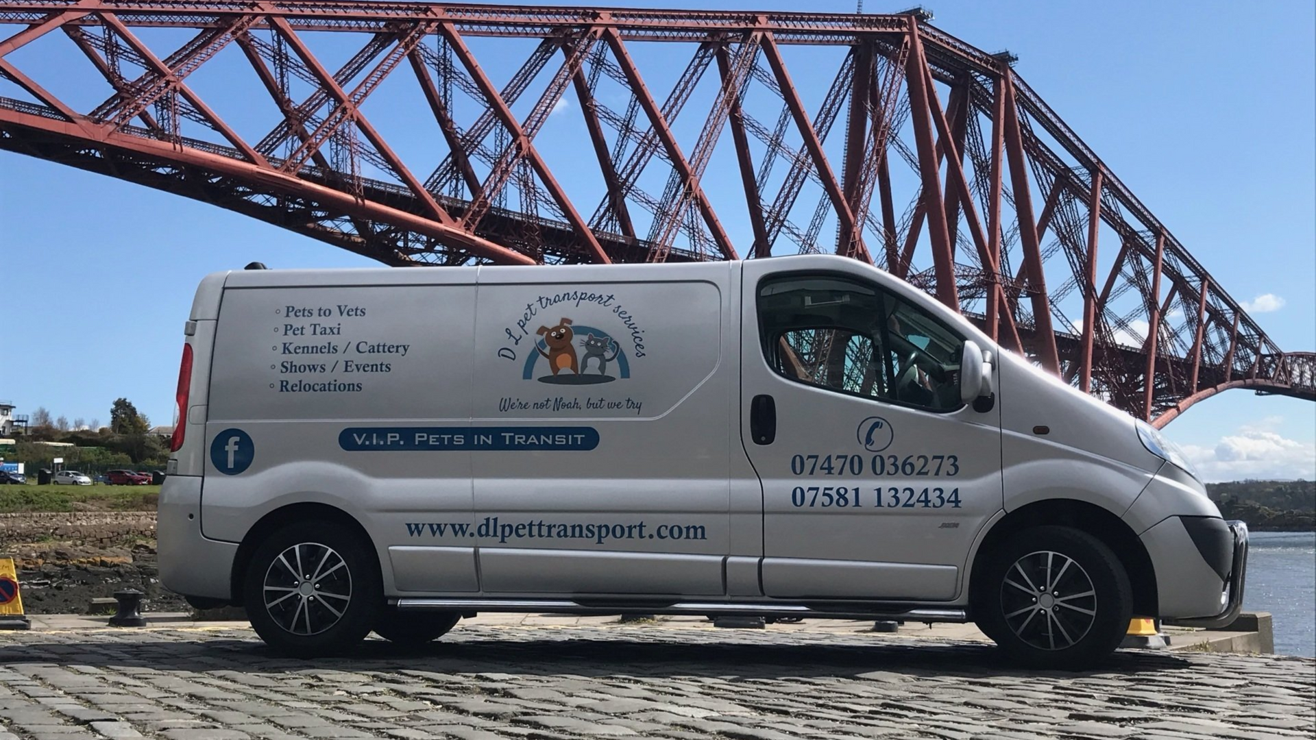 DL Pet Transport van providing door-to-door pet transport across the UK
