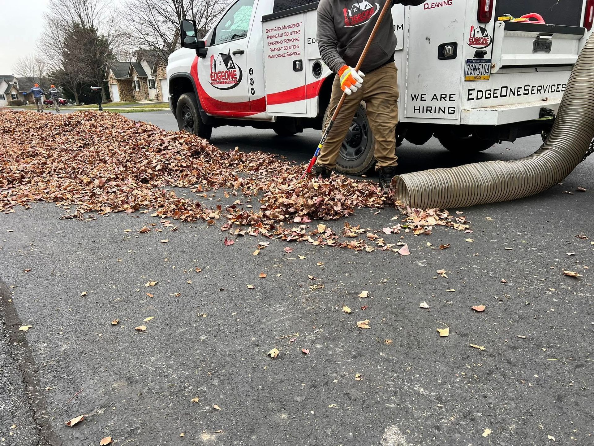 Person rakes leaves into a truck vacuum on a street. Truck is white with red stripes; leaves are brown.