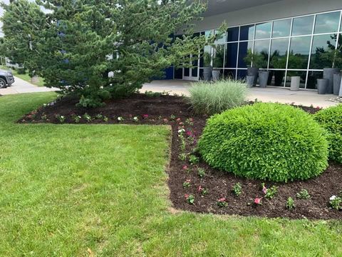 Landscaped beds with green shrubs and flowers in front of a building with glass windows.