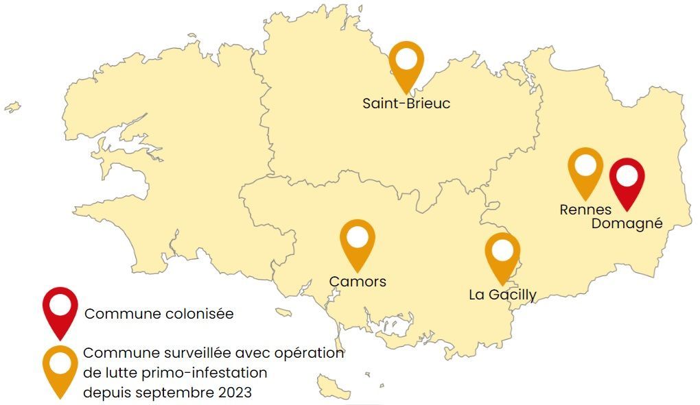 Carte des lieux de présence avérée de moustique tigre en Bretagne.
