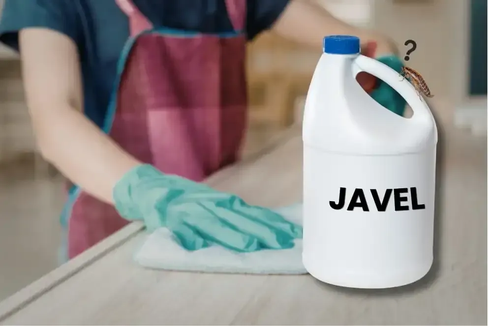 Une femme qui nettoie sa cuisine à l'eau de javel pour lutter contre les cafards