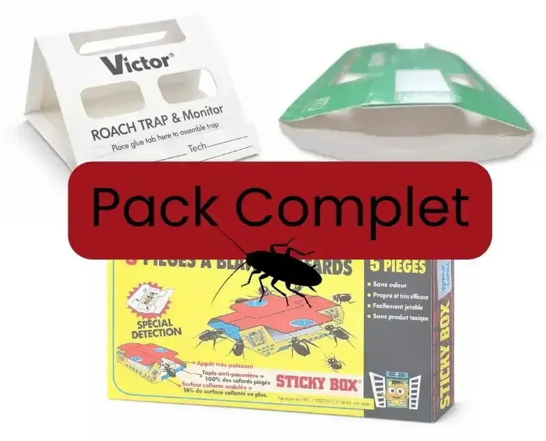 Pack pièges à cafards professionnels pour une action complète