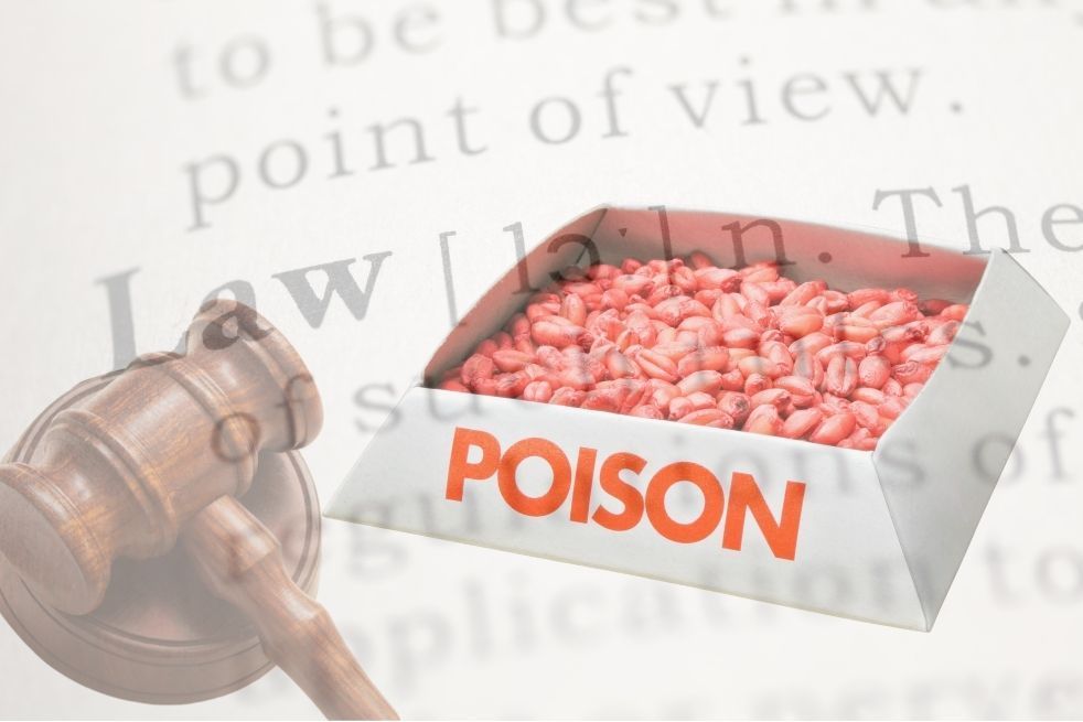 bonnes pratiques et règlementation pour un usage raisonné des raticides par les particuliers