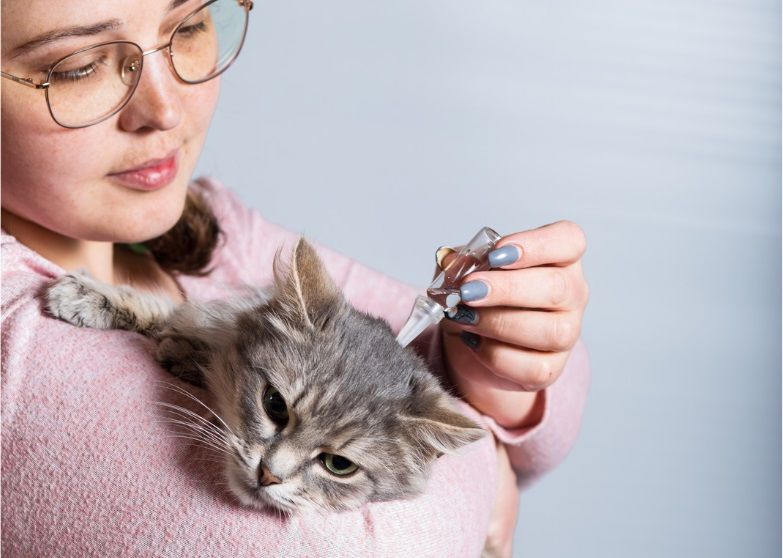 Une femme en train d'appliquer de l'antipuce en pipette sur son chat.