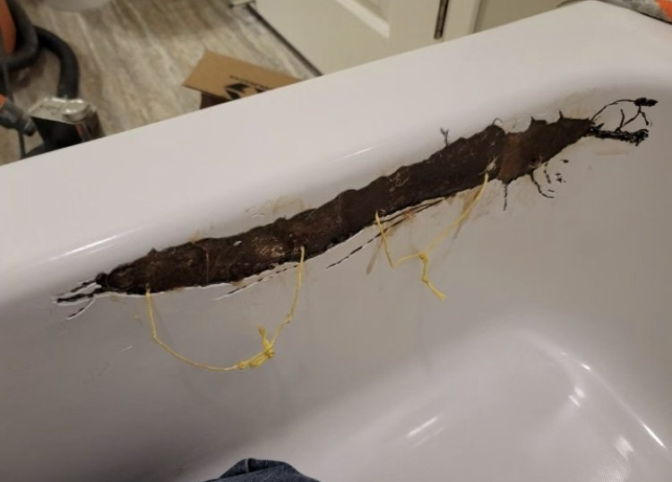 Long dark root or pipe-like object with yellow strands in a white bathtub