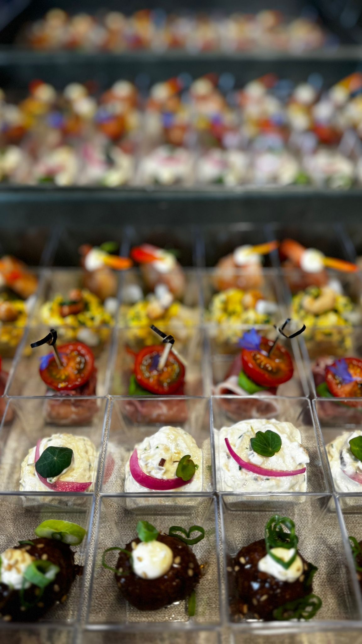 Rijen kleine, elegante hapjes in doorzichtige plastic bekertjes, met kleurrijke groenten, kruiden en hartige toppings.