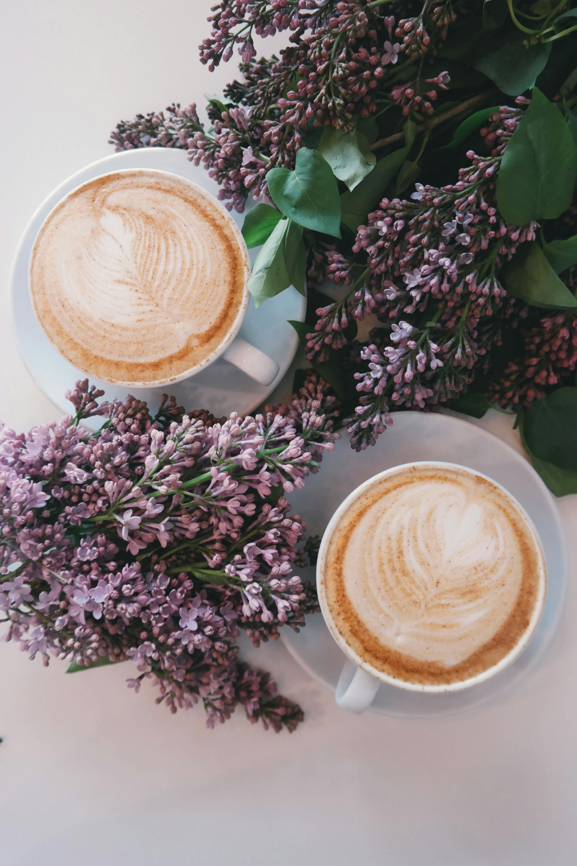 Two lattes on saucers next to purple lilac flowers on a white surface.