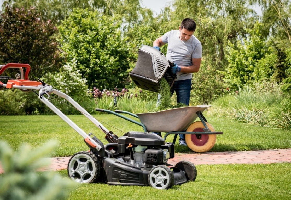 An image of Lawn Care in Warren OH