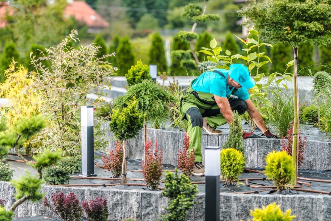 An image of Landscape Design in Warren OH
