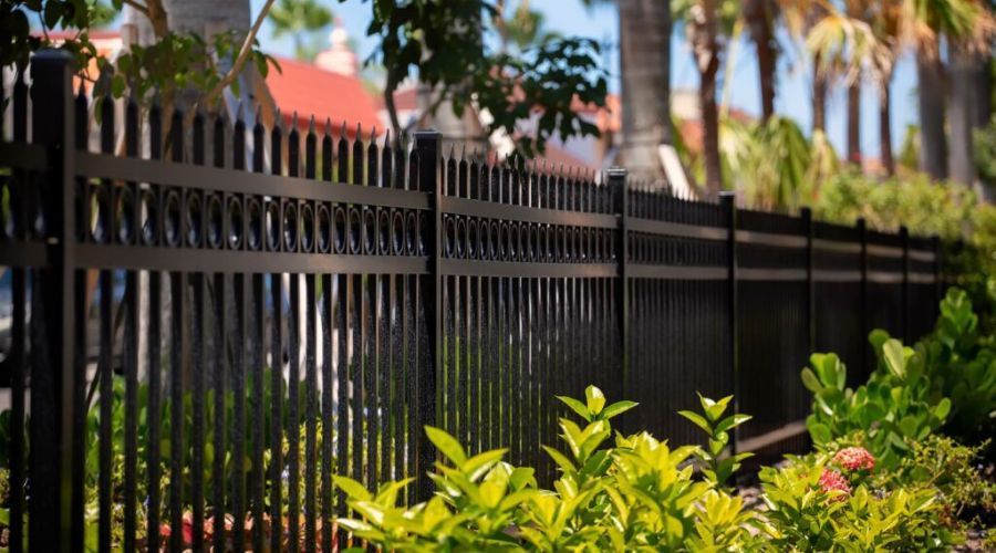 A black metal picket fence runs along a sidewalk with palm trees and green plants in the background.