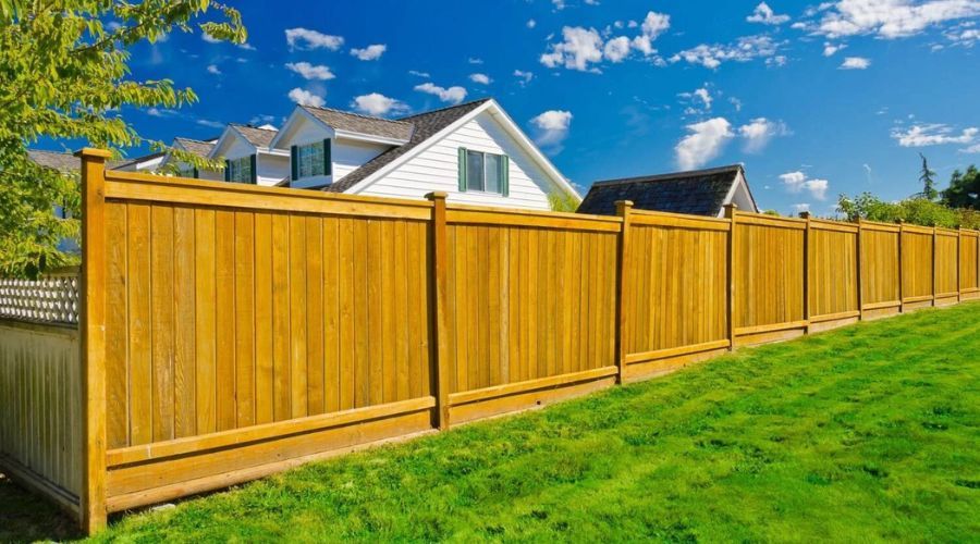 Tall wooden privacy fence surrounding a North Carolina backyard