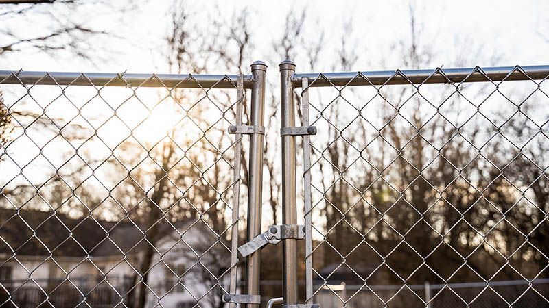 Closed chain-link fence gate with a latch, trees and the sun blurred in the background.
