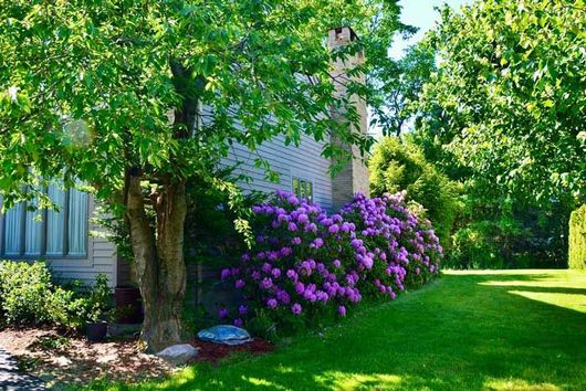 Properly maintained and cared for landscaping in a residential home in Summerville, SC.