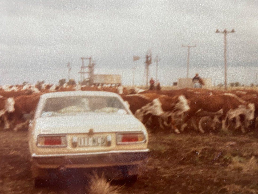 MCN---Droving-1986