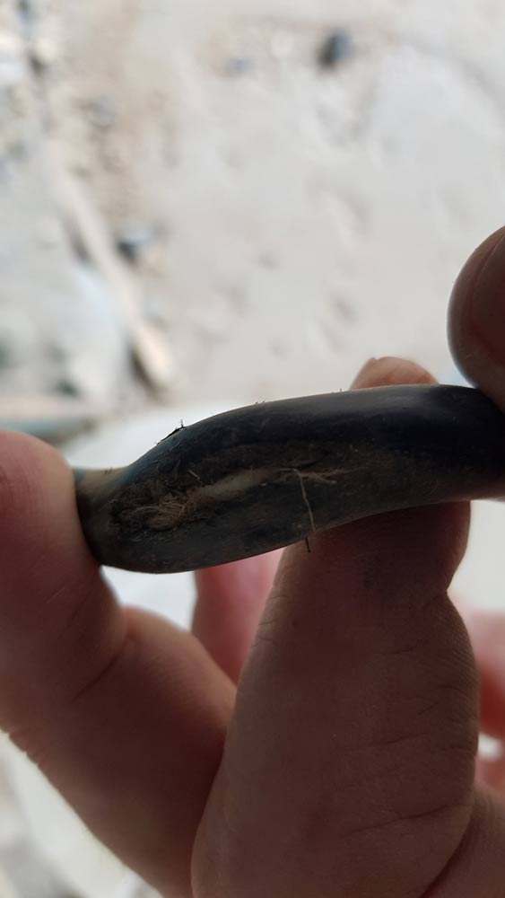 A Person is Holding a Piece of Wood in Their Hand — Coastal Test & Tag in Grafton, NSW