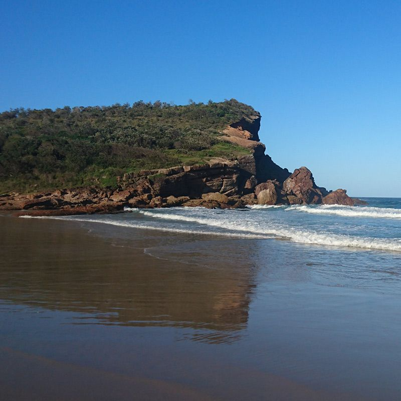 A Rocky Headland Covered in Green Vegetation — Mid North Coast Heavy Vehicle Repairs In Bonny Hills, NSW