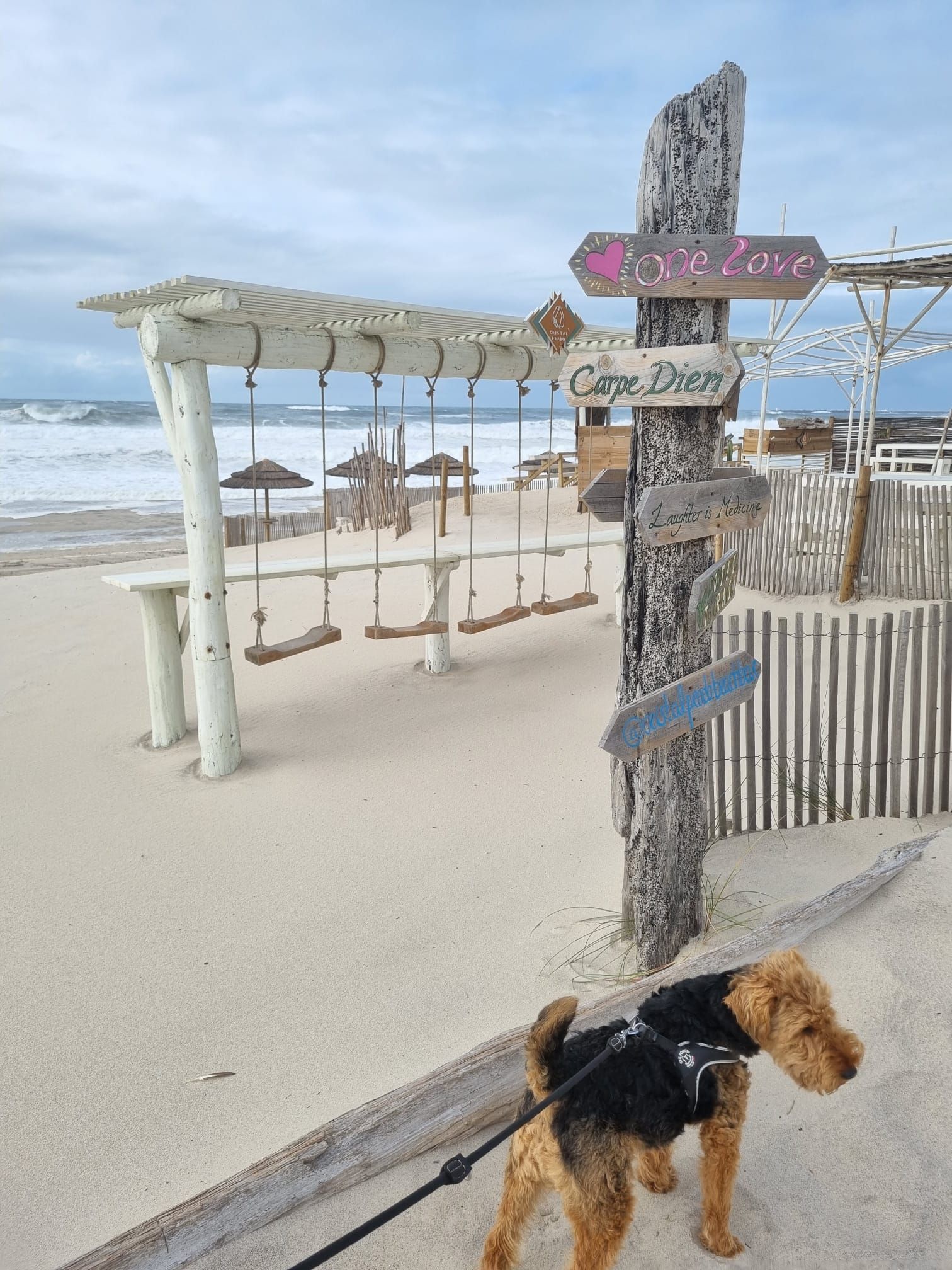 Ein angeleinter Hund am Strand; ein verwitterter Wegweiser mit Richtungsangaben, Schaukeln und Sonnenschirme sind zu sehen. Bewölkter Himmel, Sand und Meer.