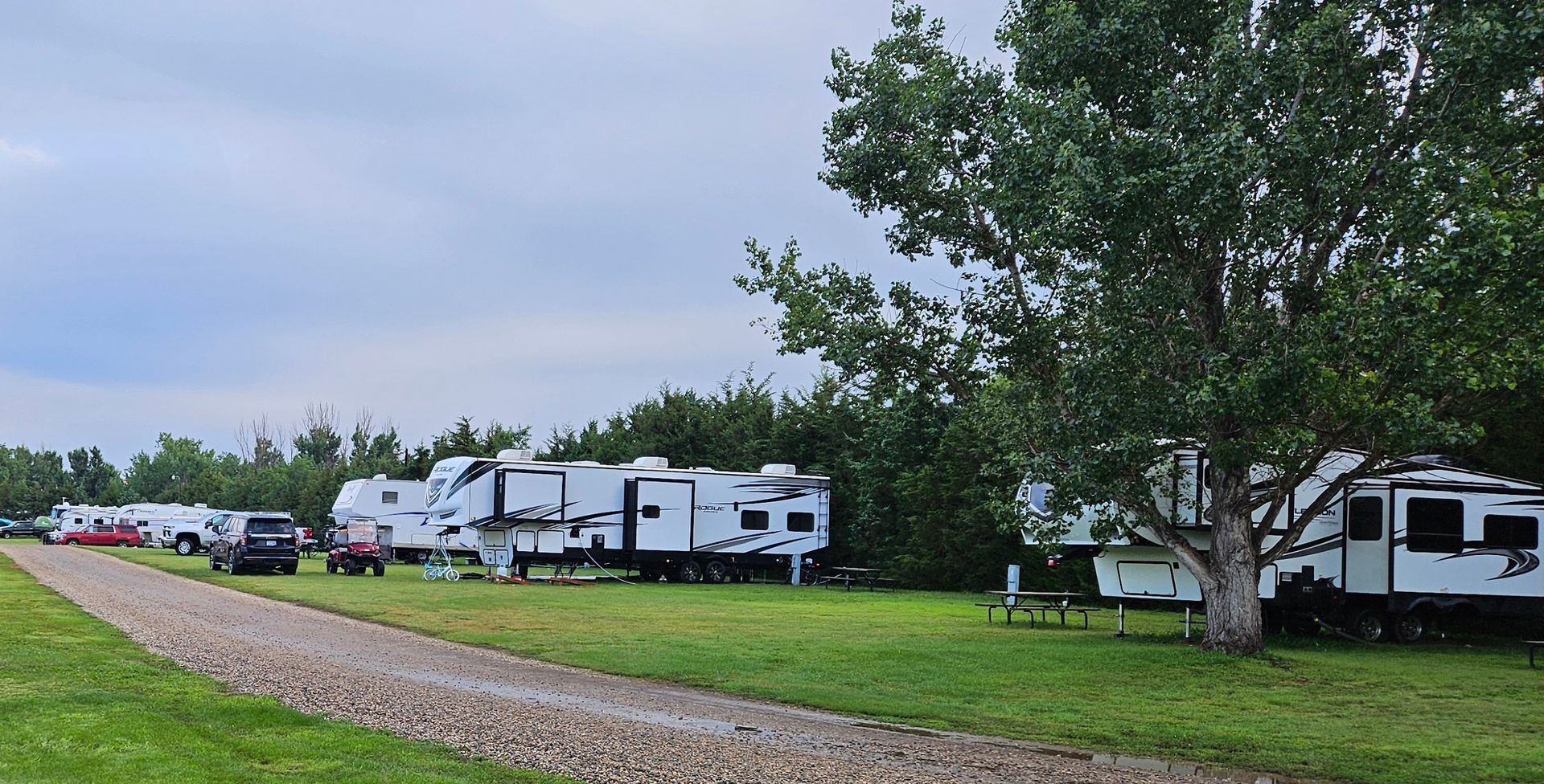 A row of rvs parked in a grassy field next to a tree.