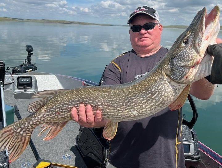 Big Northern Pike South Dakota