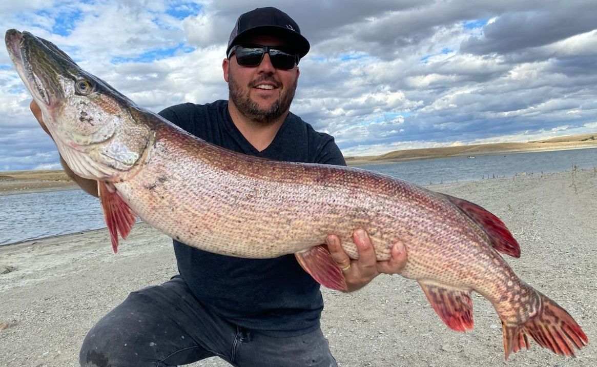 Northern Pike Lake Oahe