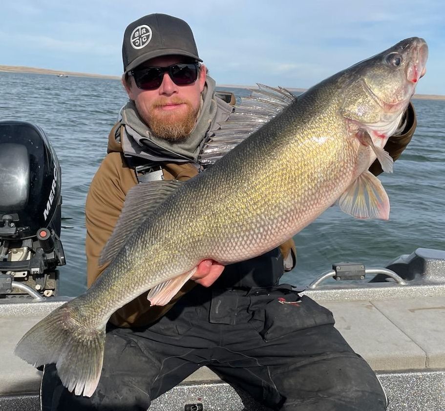 walleye from SD