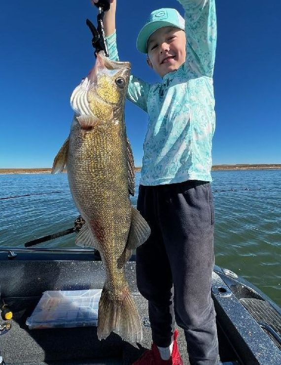 walleye
