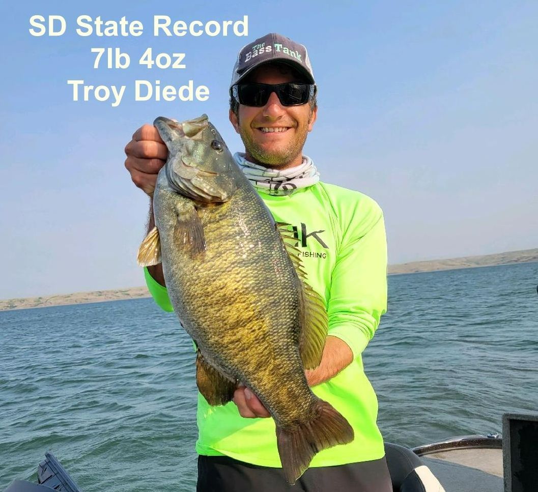 Smallmouth Bass taken from Lake Oahe, SD