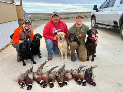 A group of men and their dogs are posing for a picture.