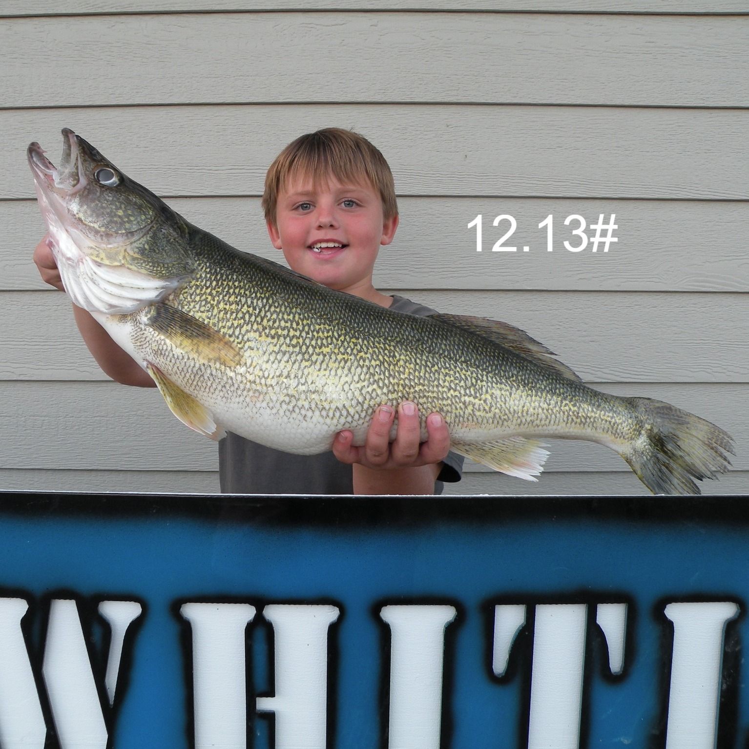 Lake Oahe Walleye & Salmon Fishing Report - Whitlock Bay - Gettysburg, SD