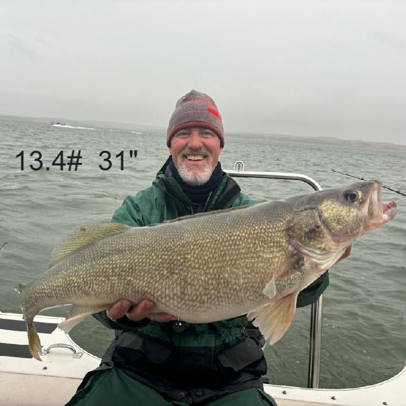 Lake Oahe Walleye and Salmon Fishing - Whitlock Bay - Gettysburg, SD