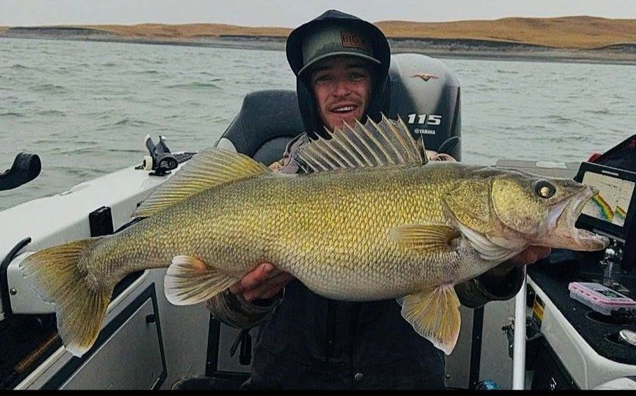 Lake Oahe Walleye Fishing - Whitlock Bay - Gettysburg, SD