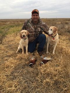 A man is kneeling down with two dogs in a field.