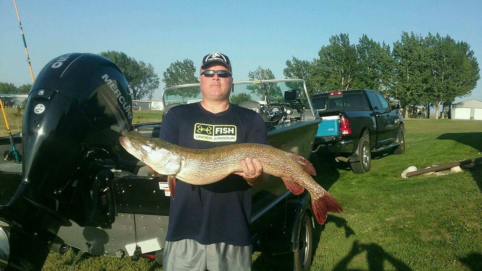 A man holding a large fish in front of a mercury outboard motor