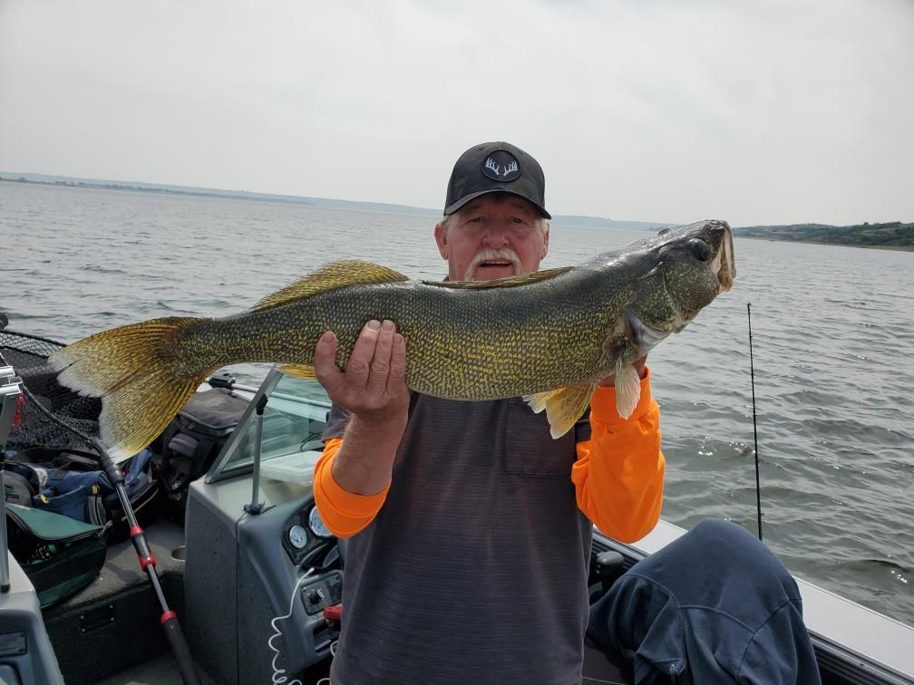A man in a boat is holding a large fish in his hands.