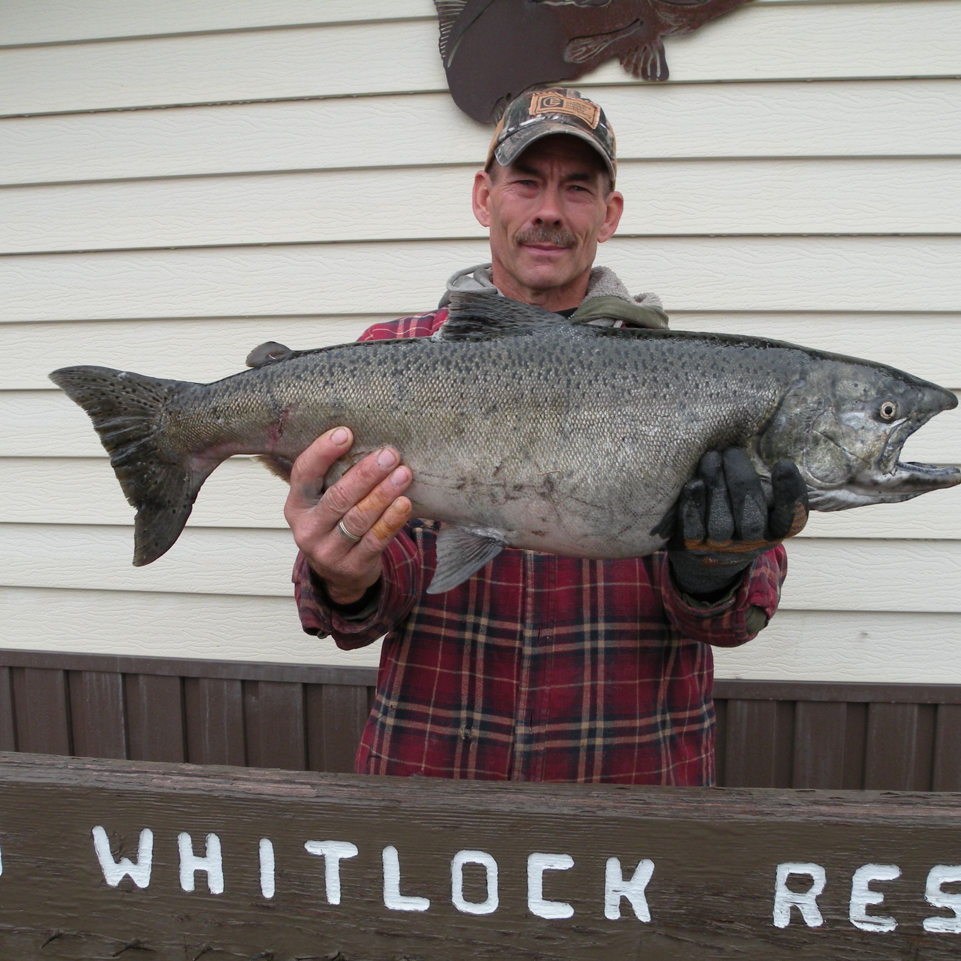 A man holding a large fish in front of a sign that says whitlock res