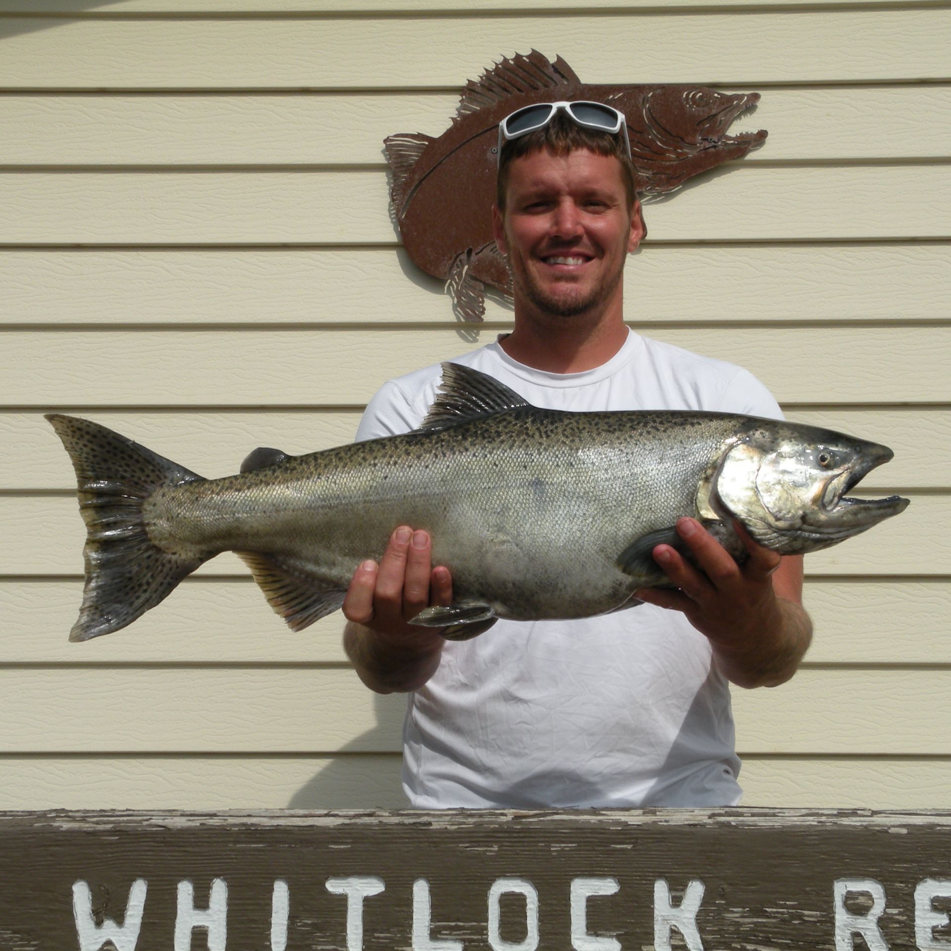 A man holding a large fish in front of a sign that says whitlock re