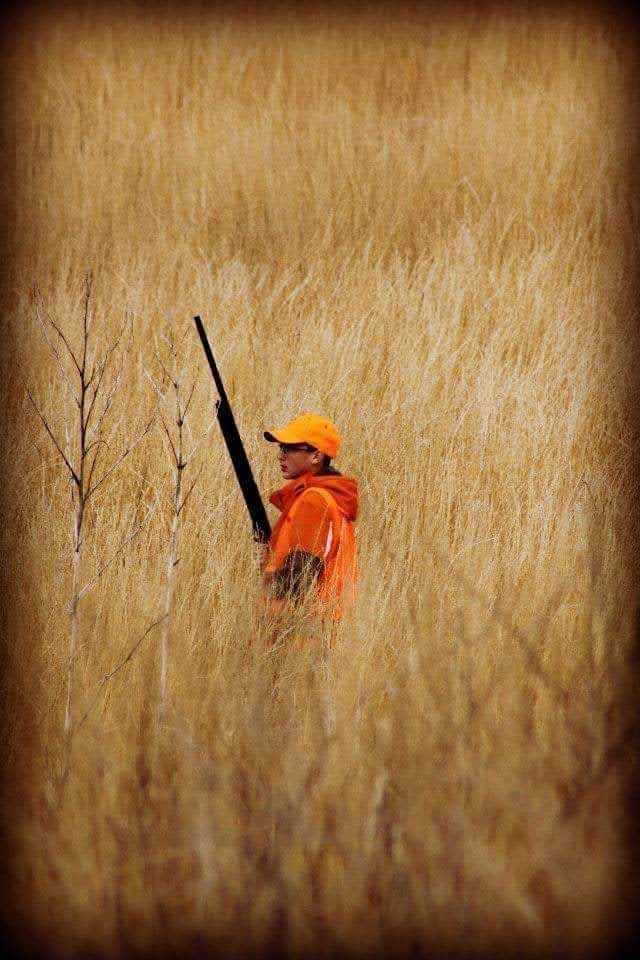 Pheasant Hunting Lodging in SD