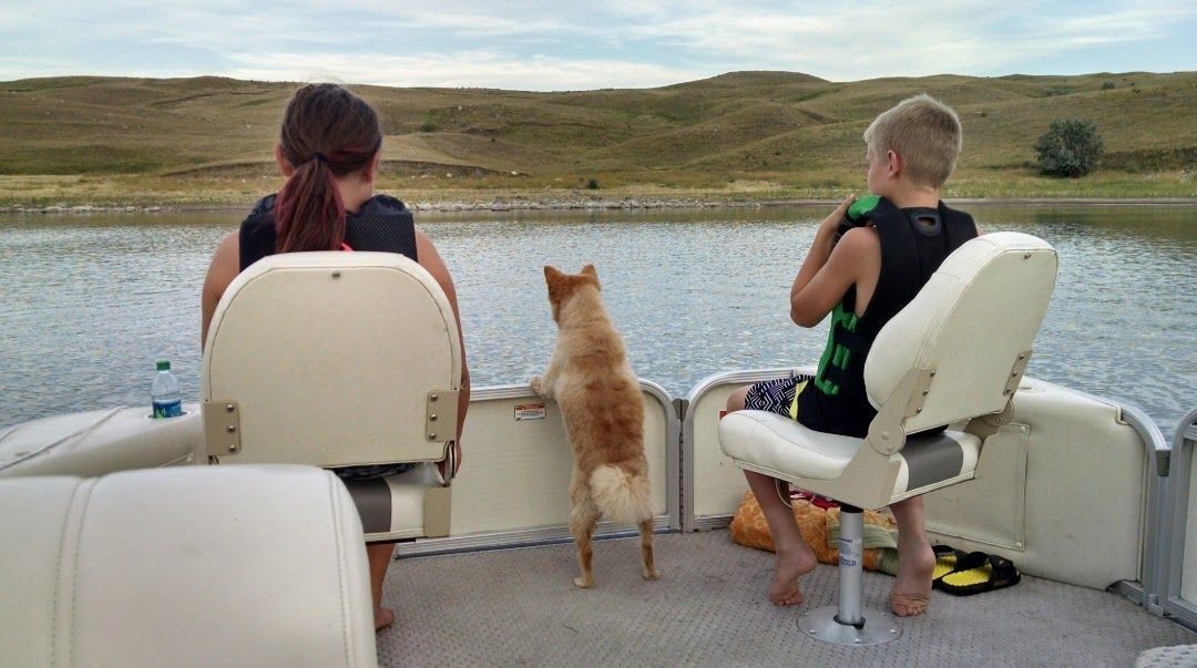A boy and a girl are sitting on a boat with a dog.