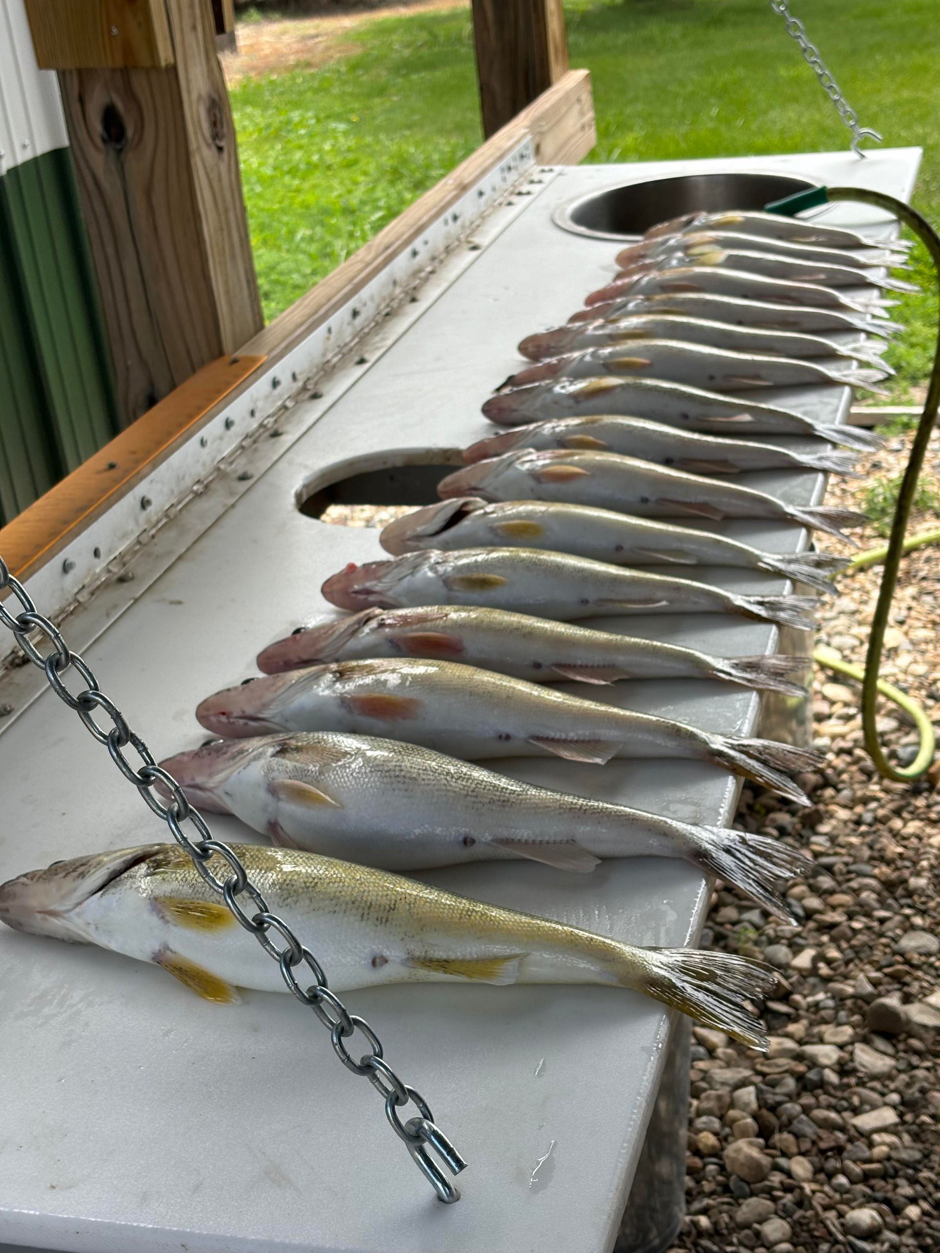 Lake Oahe Fishing 6/13/24
