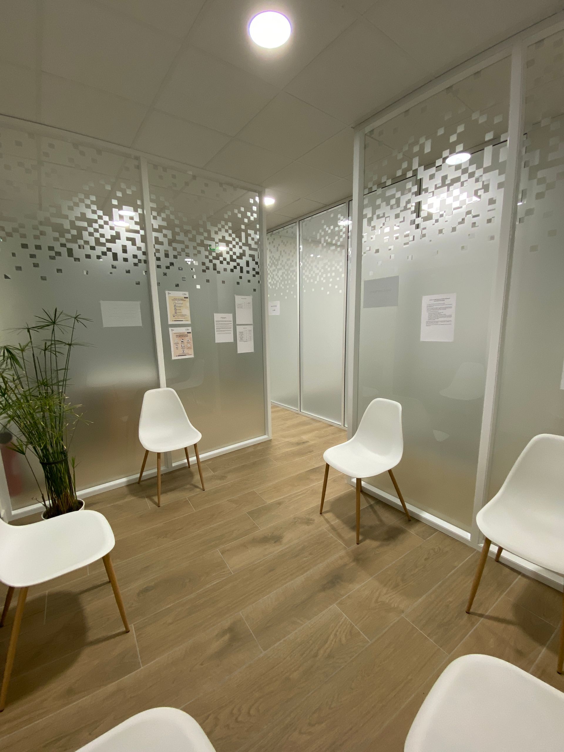 Salle d'attente vide avec chaises blanches, parois en verre dépoli, parquet et une plante en pot.