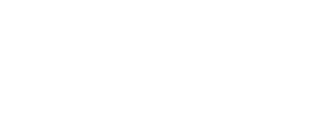 5 Star Google Review