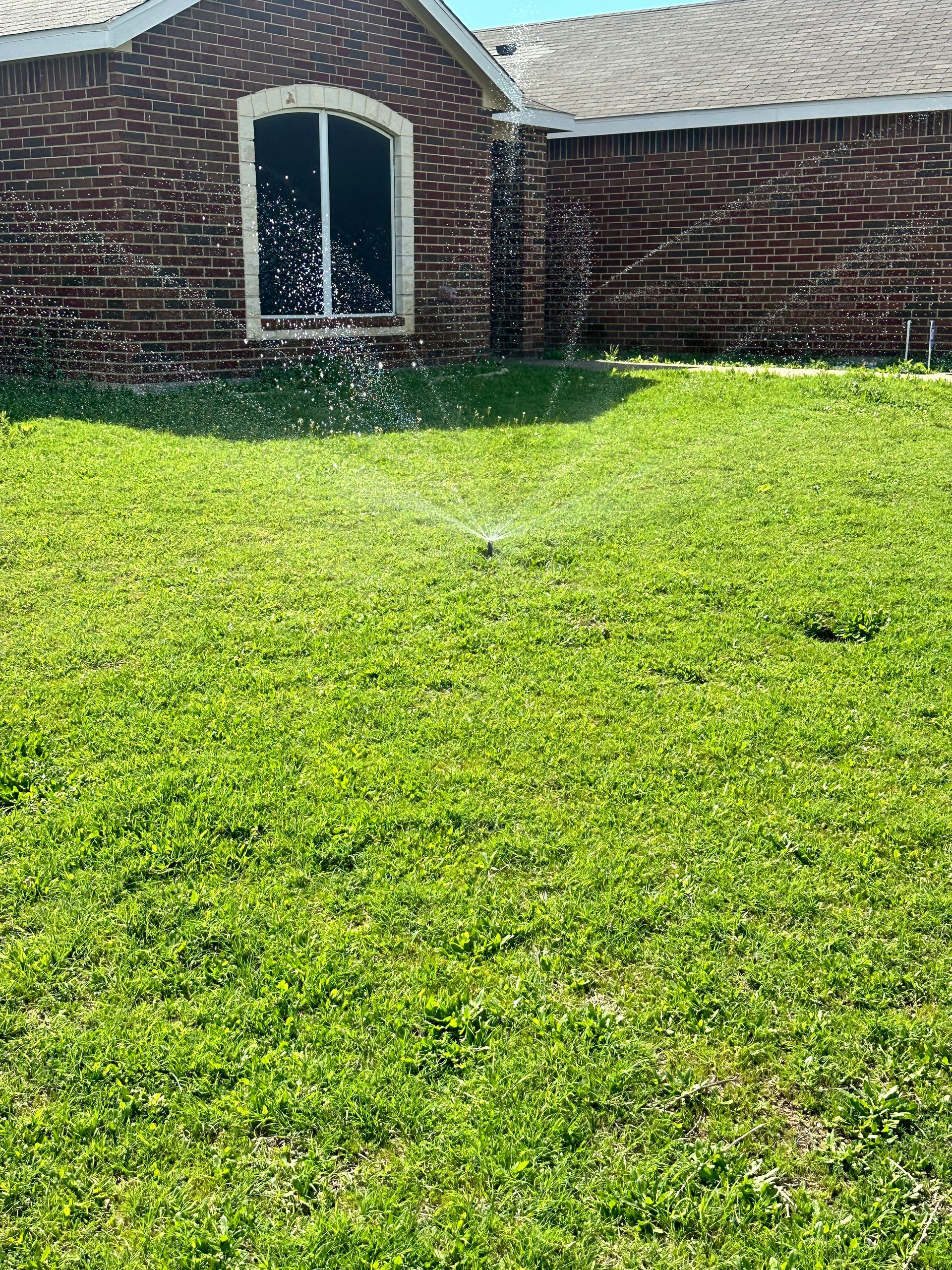 A sprinkler is spraying water on a lush green lawn in front of a brick house.