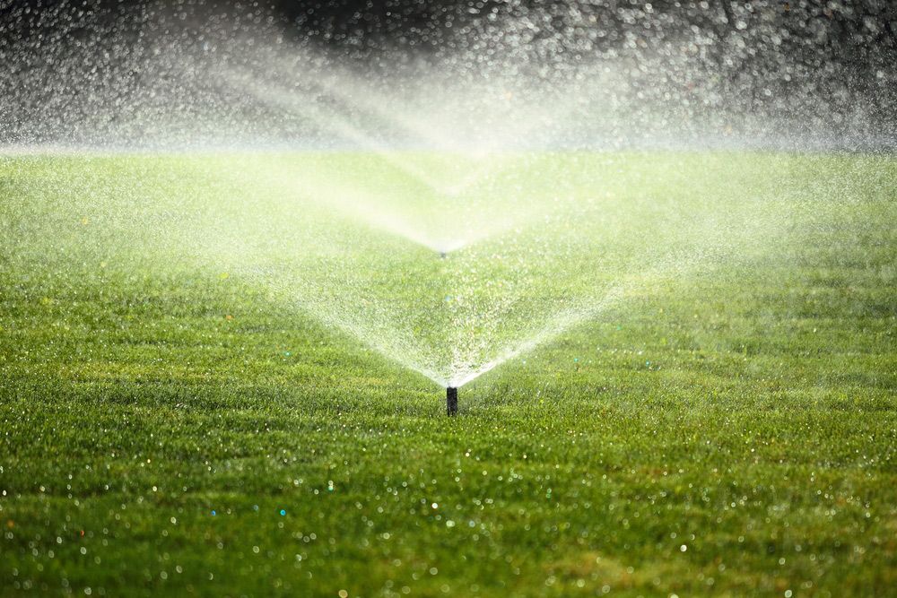 A sprinkler is spraying water on a lush green lawn.